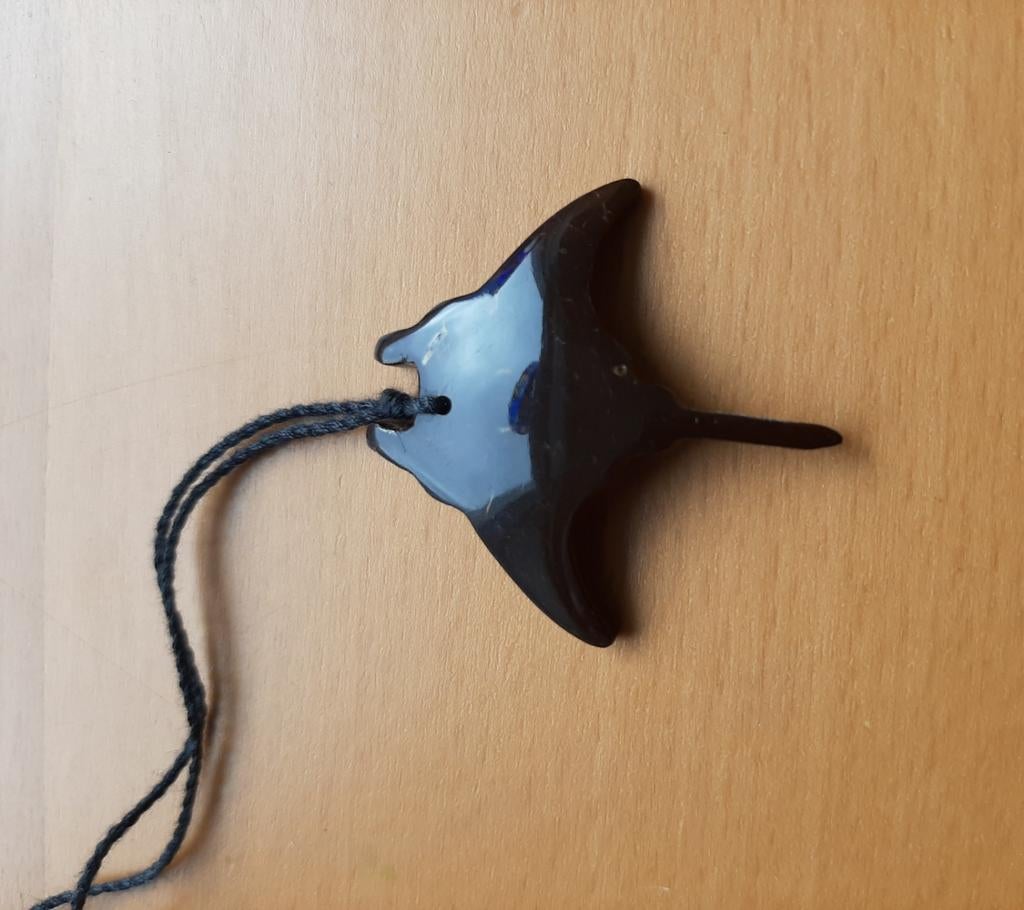 Hanger - ketting - Manta, Ophalen of Verzenden, Zilver, Overige materialen