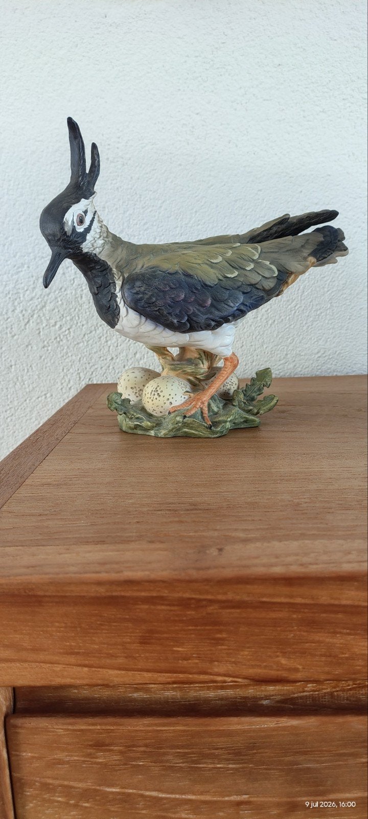 Grote goebel vogel Kievit met eieren, Ophalen of Verzenden, Zo goed als nieuw, Dier