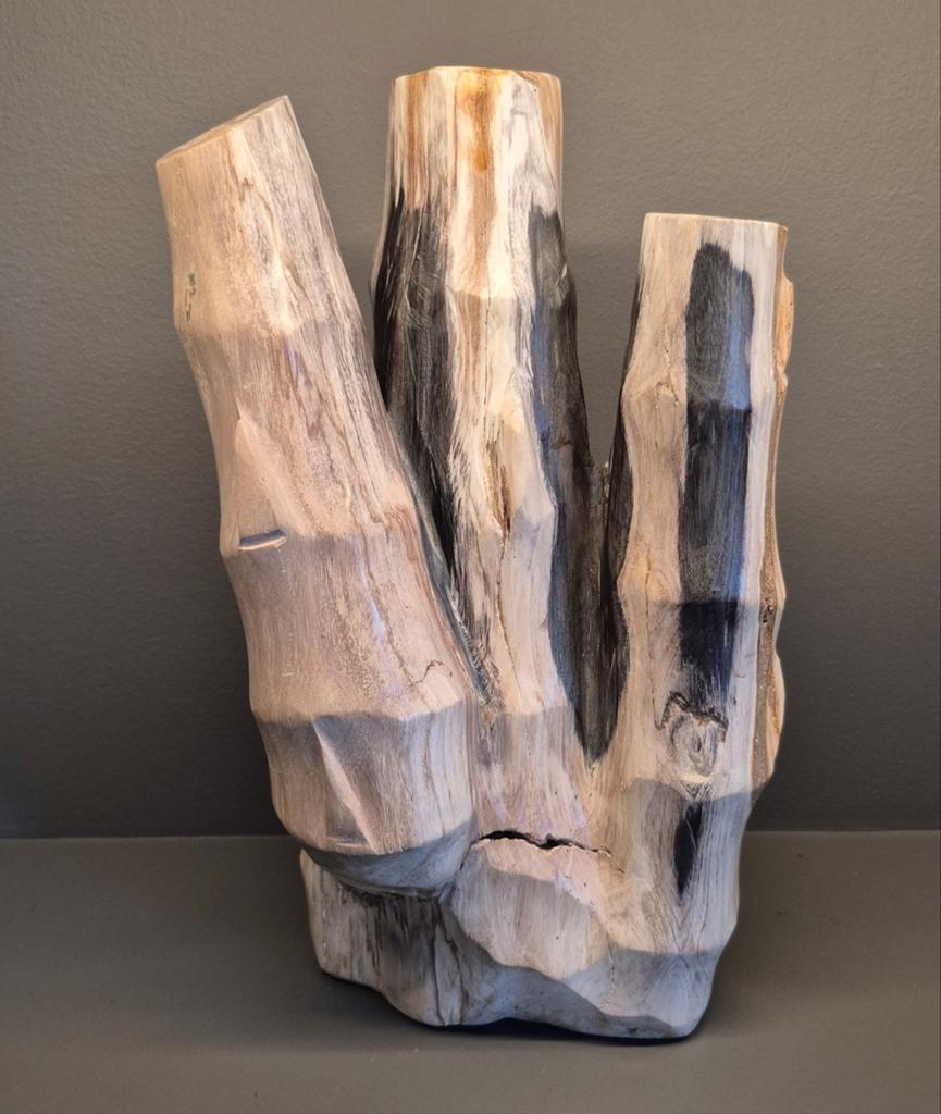 4.7 Kilo versteend Bamboo ( top stuk ), Ophalen of Verzenden