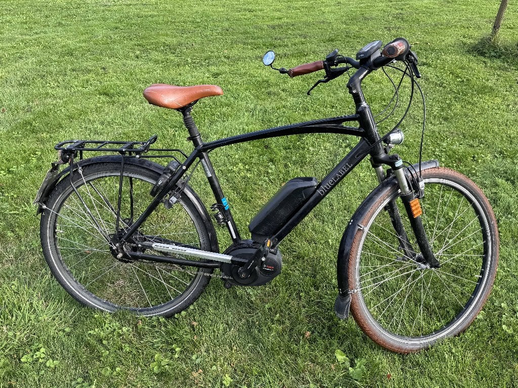 Riese Muller Cruiser Bluelabel Speed Pedelec