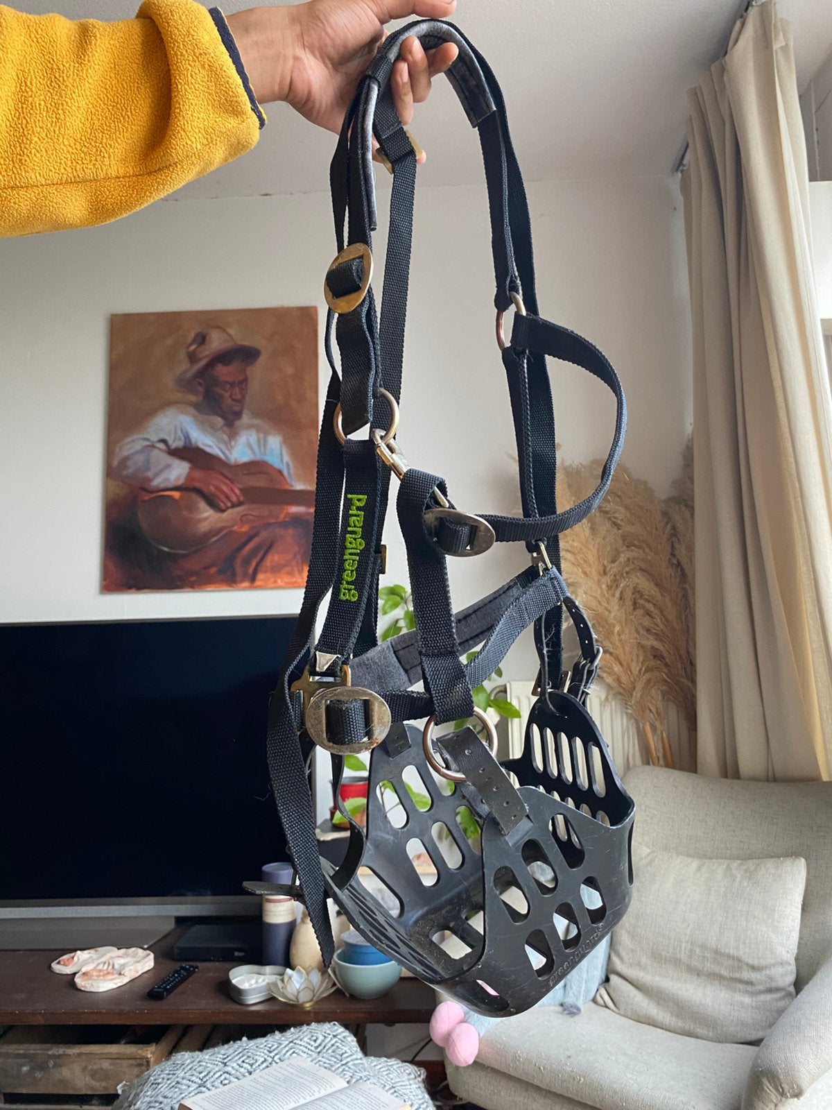 Graasmasker Greenguard FULL, Ophalen of Verzenden, Gebruikt
