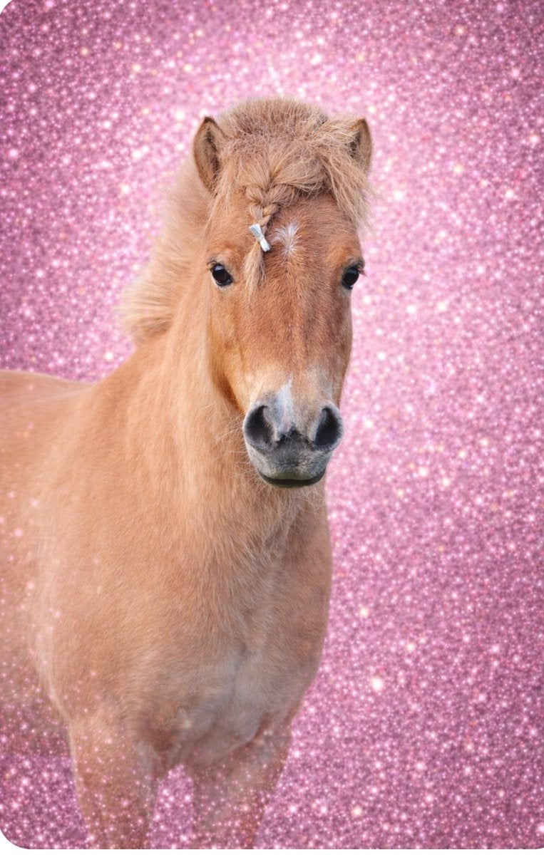 Verzorgster voor twee mini Shetlanders gezocht, Dieren en Toebehoren, Ophalen of Verzenden