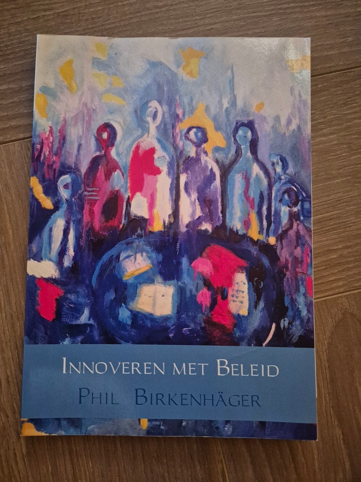 Phil Birkenhäger - Innoveren met beleid, Sociale wetenschap, Ophalen of Verzenden, Zo goed als nieuw, Phil Birkenhäger