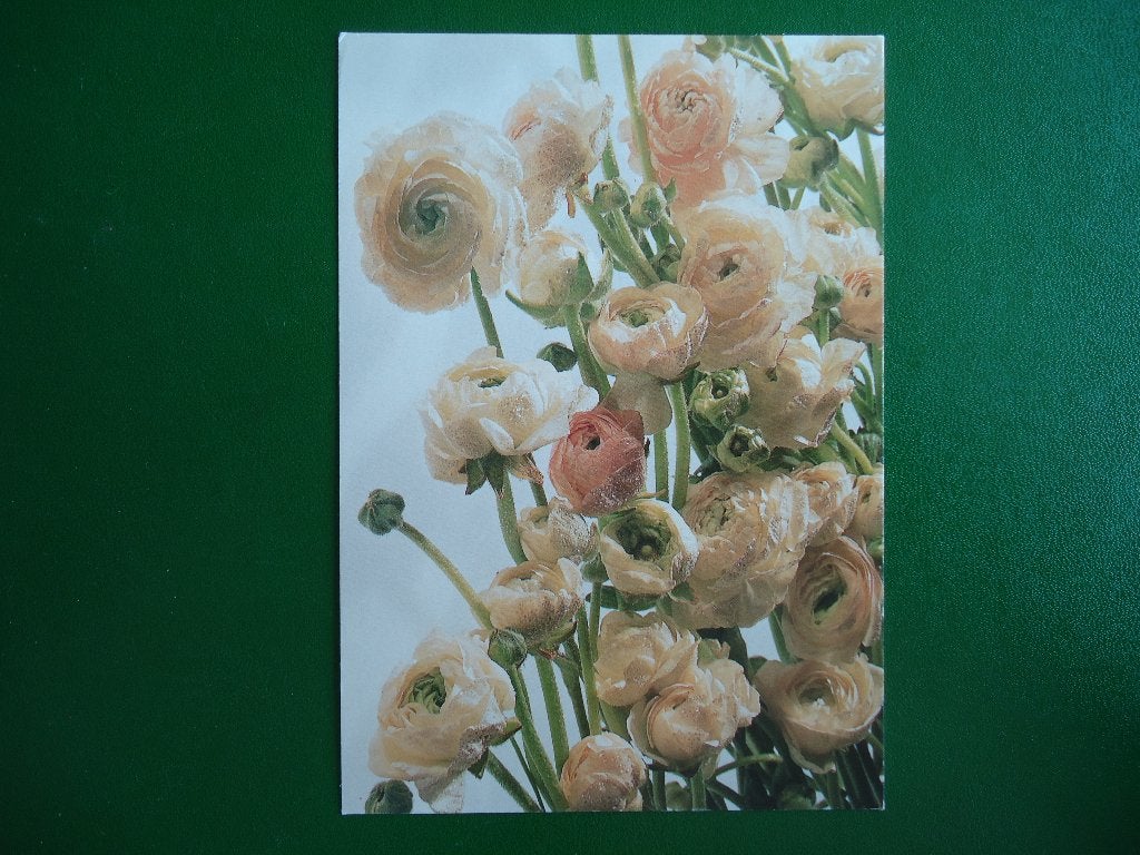 (1753) Bloemenkaart / Foto PAUL HUF, Verzenden, 1980 tot heden, Gelopen, Overige thema's