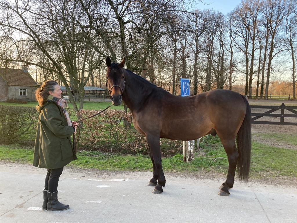 Bijrijder aangeboden, Dieren en Toebehoren, Ophalen of Verzenden, Nieuw