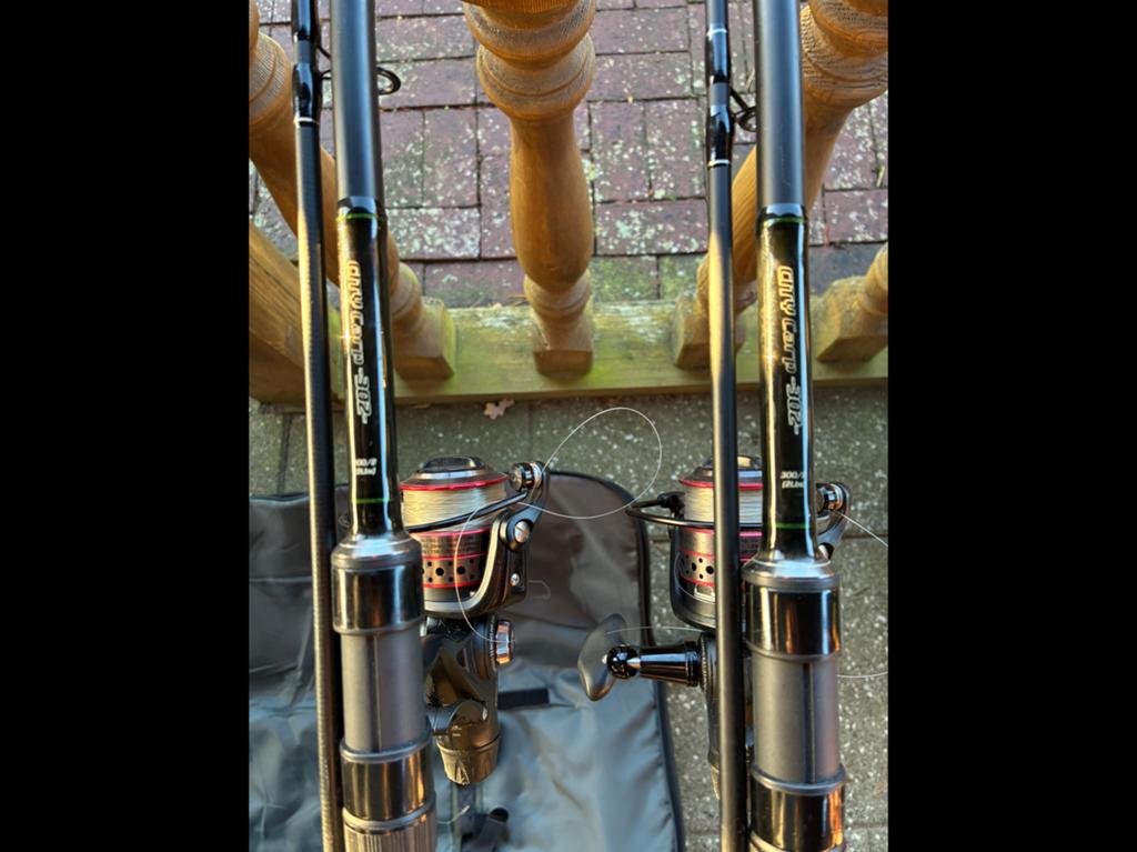 Karperhengels (2x city carp) met Penn vrijloopmolens, Watersport en Boten, Ophalen, Zo goed als nieuw, Werphengel