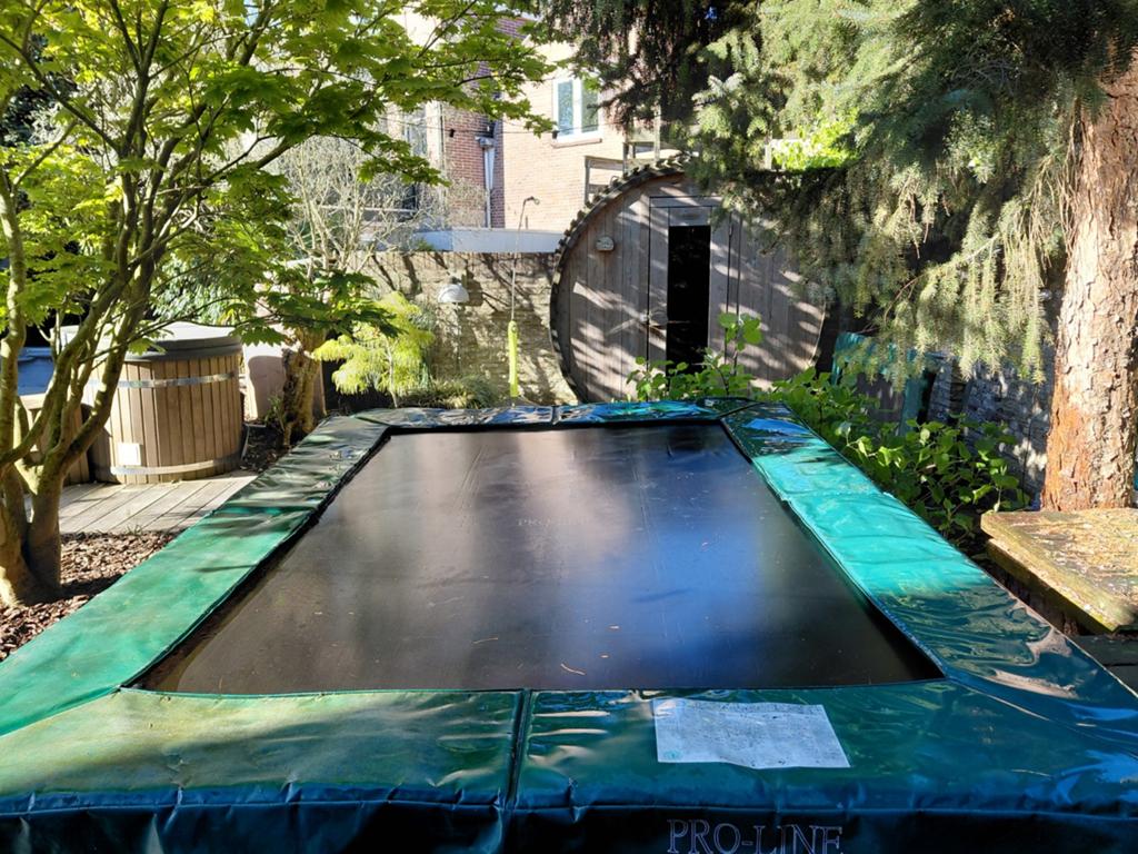 Avyna Pro-Line Trampoline - Gebruikt, Ophalen, Gebruikt