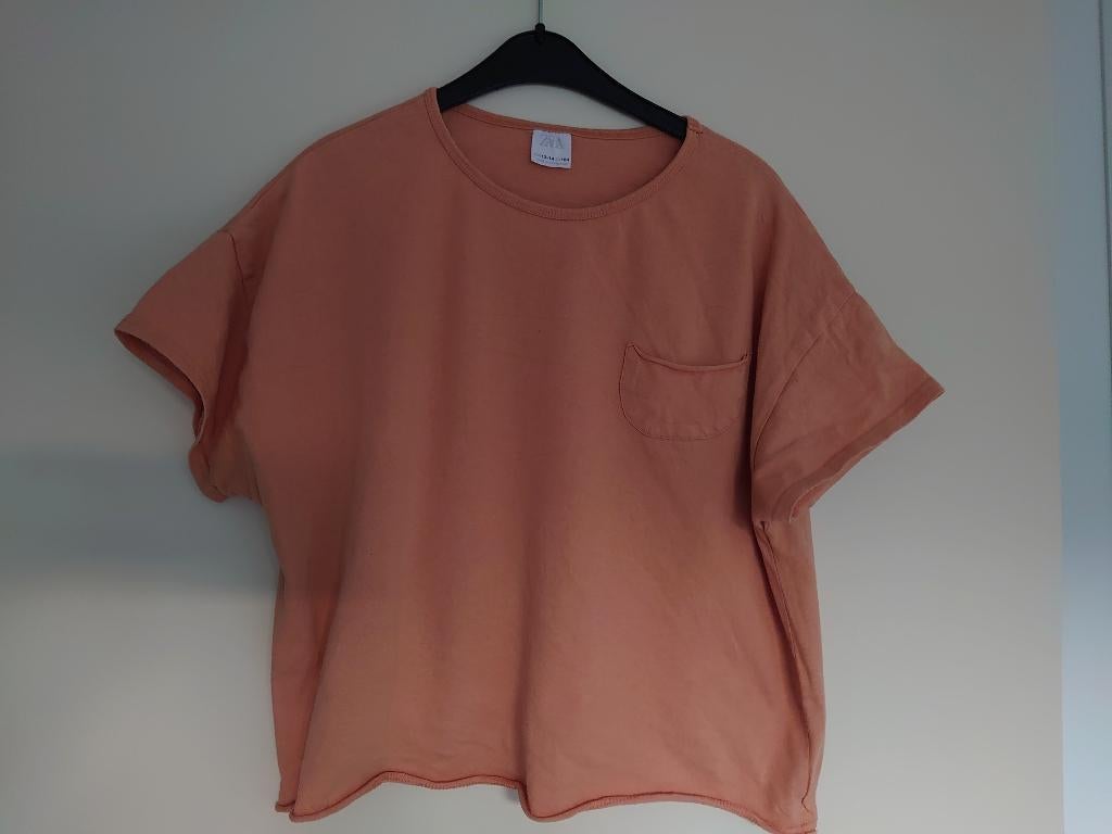 t-shirt Zara maat 164, Kinderen en Baby's, Kinderkleding | Maat 164, Zo goed als nieuw, Zara, Shirt of Longsleeve, Verzenden