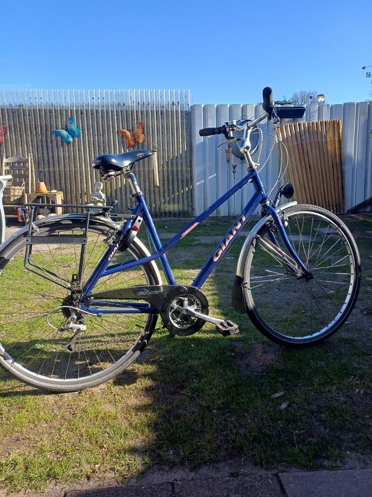 Giant freerider, Ophalen, 28 inch, Giant, Meer dan 20 versnellingen