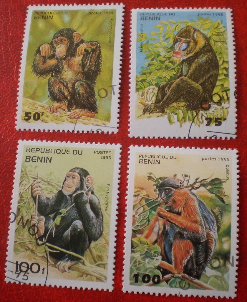 Benin - 4x Apen / Aap - 1995, Verzenden, Gestempeld, Dier of Natuur
