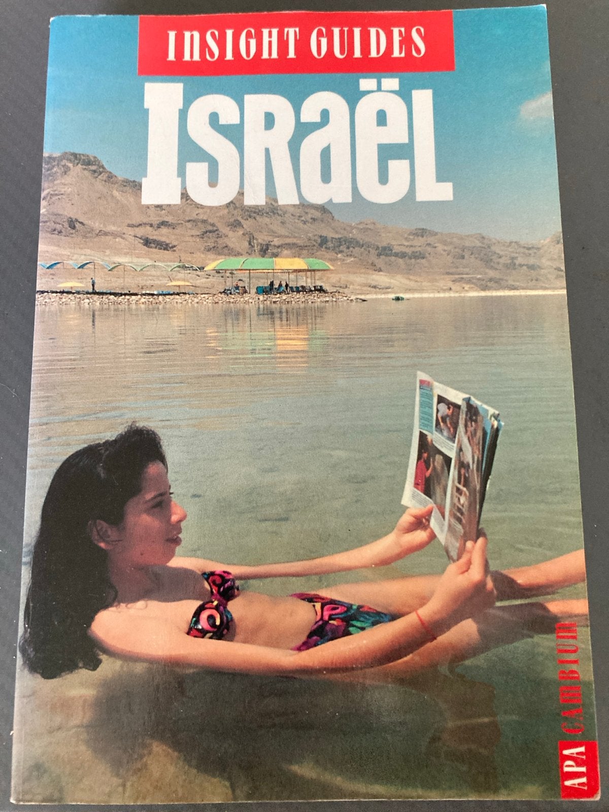 Insight Guides Israël Reisgids, Overige merken, Ophalen of Verzenden, Zo goed als nieuw, Reisgids of -boek