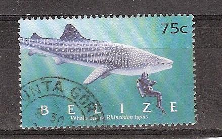 Belize, Walvishaai, 2004., Ophalen of Verzenden, Gestempeld, Midden-Amerika