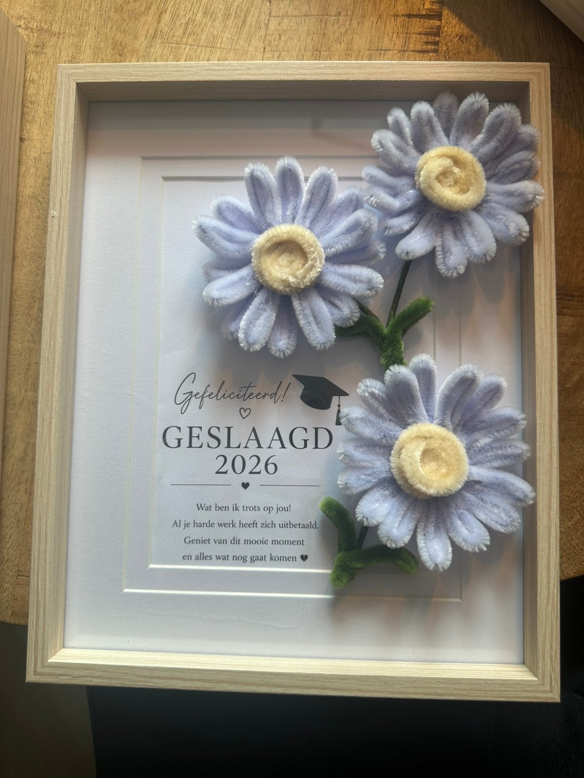 Uniek geslaagd cadeau, Ophalen of Verzenden, Nieuw