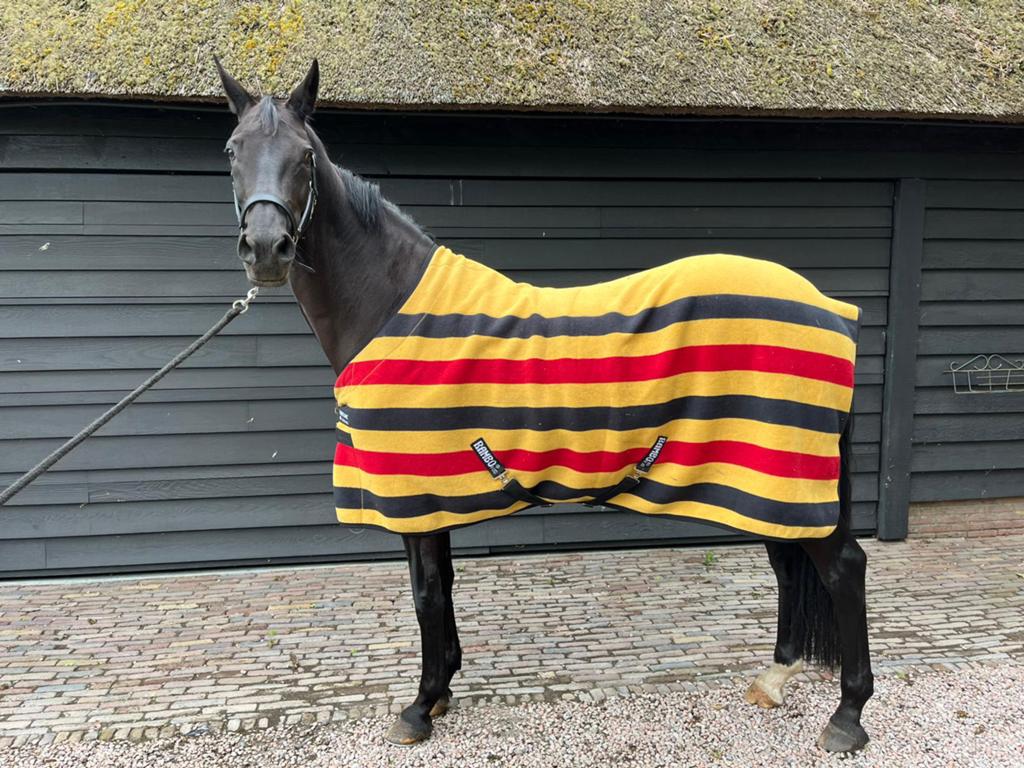 HORSEWARE NEWMARKET FLEECE, Nieuw, Ophalen of Verzenden, Geel, Horseware