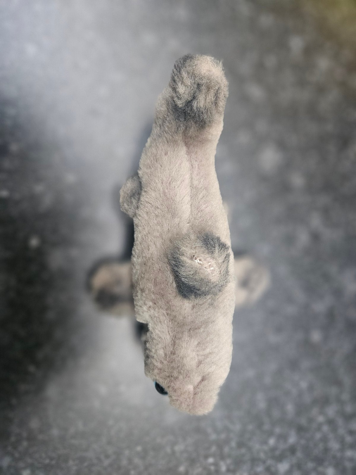 Haai knuffeltje, Overige merken, Overige karakters, Overige typen, Grijs