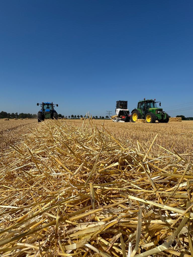 Gerste stro balen - fourage - stro - ruwvoer, Dieren en Toebehoren, Dierenvoeding, Vee, Ophalen
