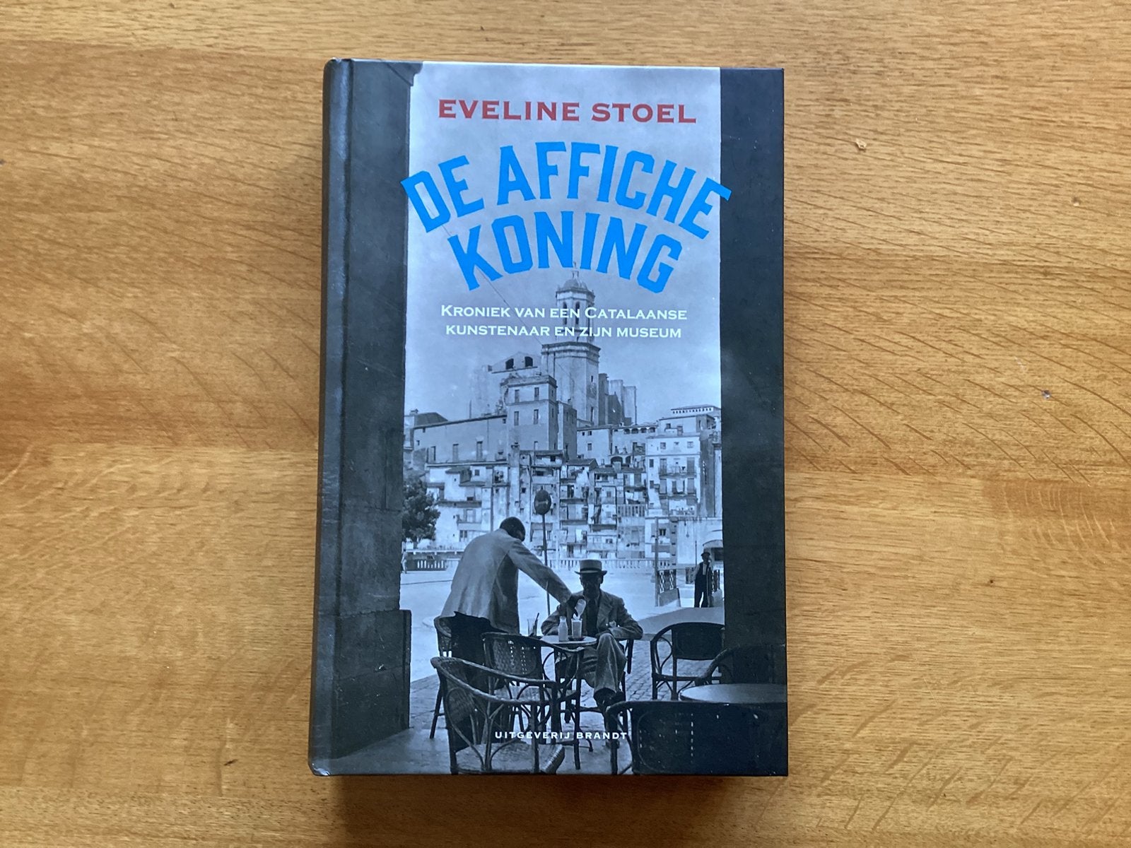 Eveline Stoel - De affichekoning, Ophalen of Verzenden, Zo goed als nieuw, Eveline Stoel