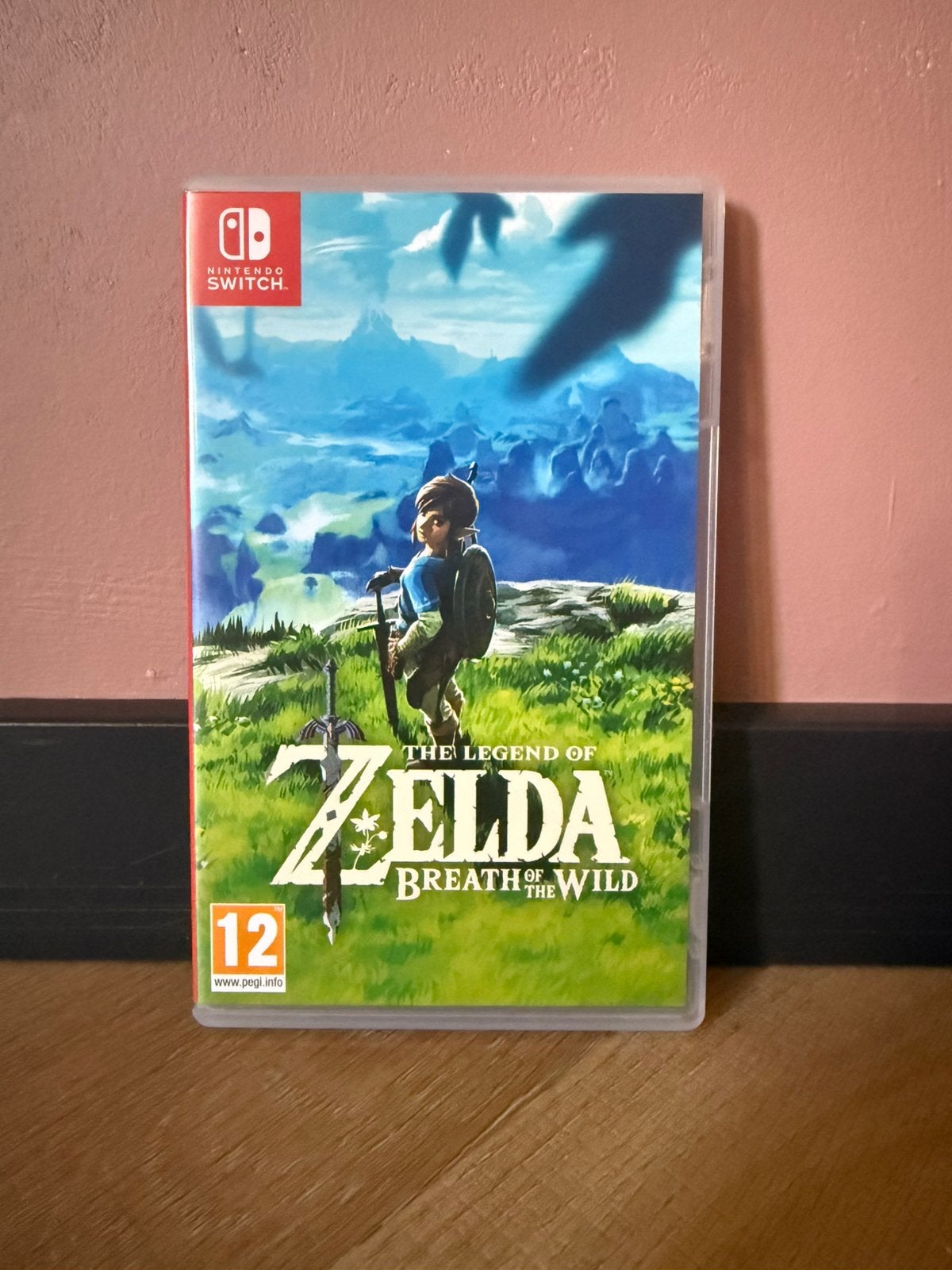 Nintendo Switch Games: Zelda, Pokémon, Mario, Overige genres, Eén computer, Ophalen of Verzenden, Zo goed als nieuw
