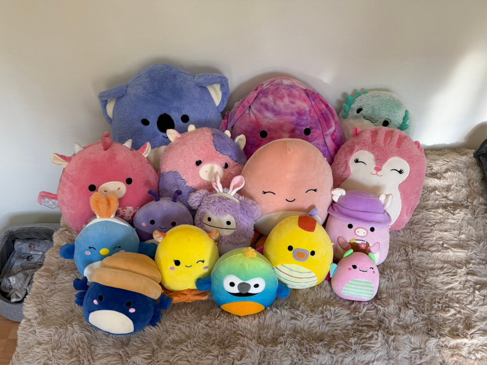 squishmallow verschillende maten, Verzenden, Zo goed als nieuw, Overige typen, Squishmallow