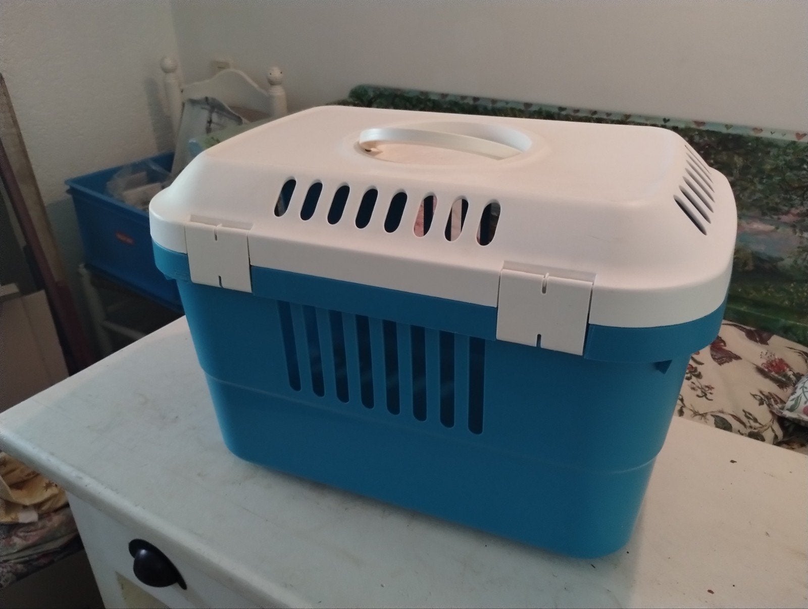 pet carrier, Dieren en Toebehoren, Ophalen
