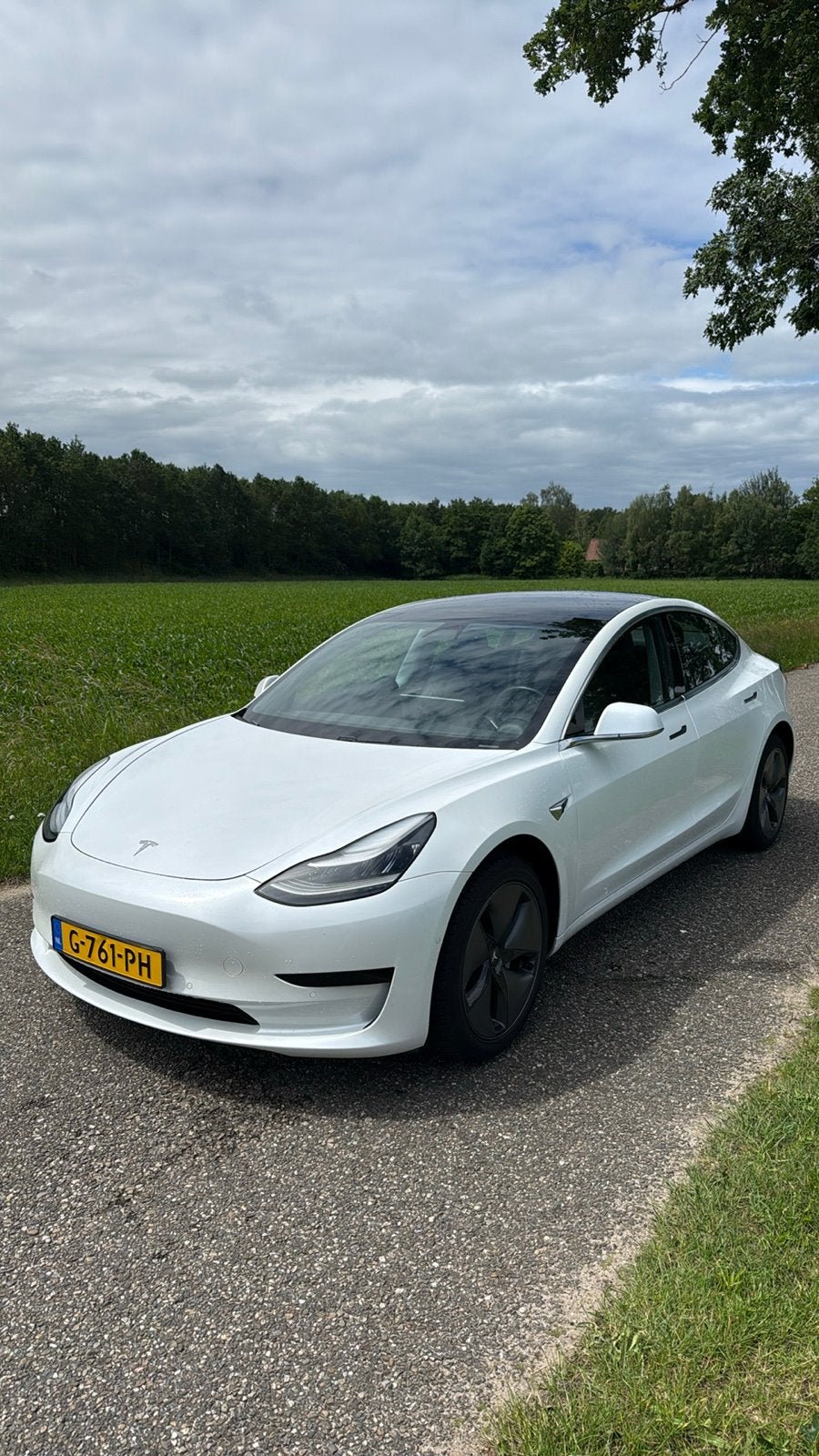 Tesla Model 3 2019 [MOET WEG | 60 kWh | NAP], Automaat, Wit, Elektrisch, Particulier