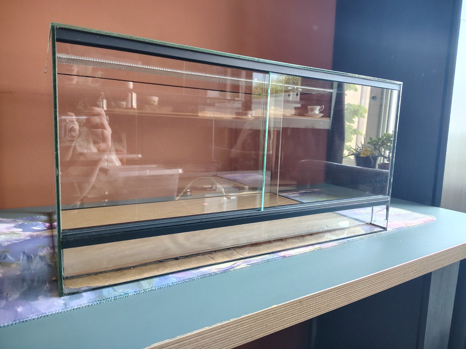 Glazen terrarium L60 H 30 B40, Dieren en Toebehoren, Reptielen en Amfibieën | Toebehoren, Ophalen, Zo goed als nieuw, Terrarium of Paludarium