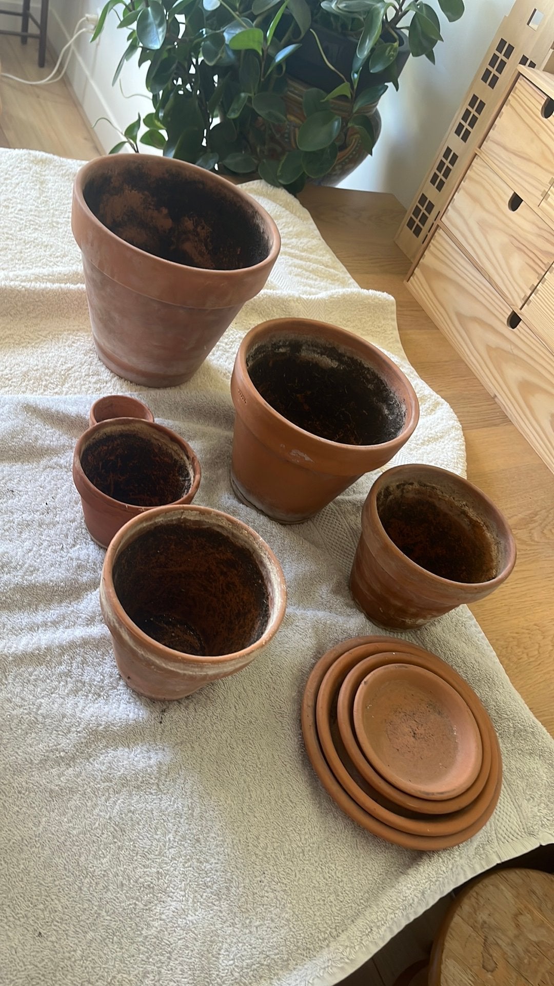 Diverse terracotta planten potten en schotels, Ophalen, Rond, Zo goed als nieuw, Minder dan 40 cm