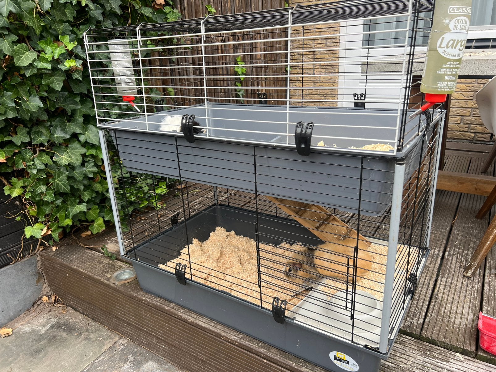 Cavia / kozijnen hok. Twee verdiepingen., Dieren en Toebehoren, Ophalen of Verzenden, Zo goed als nieuw, Overige typen