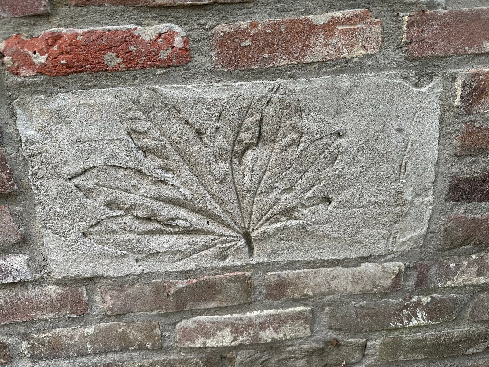 Betonstenen met reliëf - Bladmotief, Ophalen of Verzenden, Nieuw, Beton
