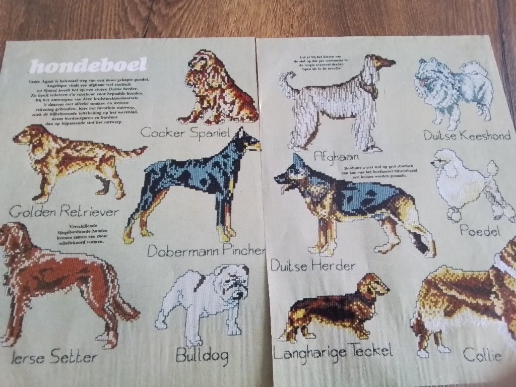 Borduurpatroon van honden, Ierse setter, golden retriever en, Ophalen of Verzenden, Zo goed als nieuw, Handborduren, Patroon