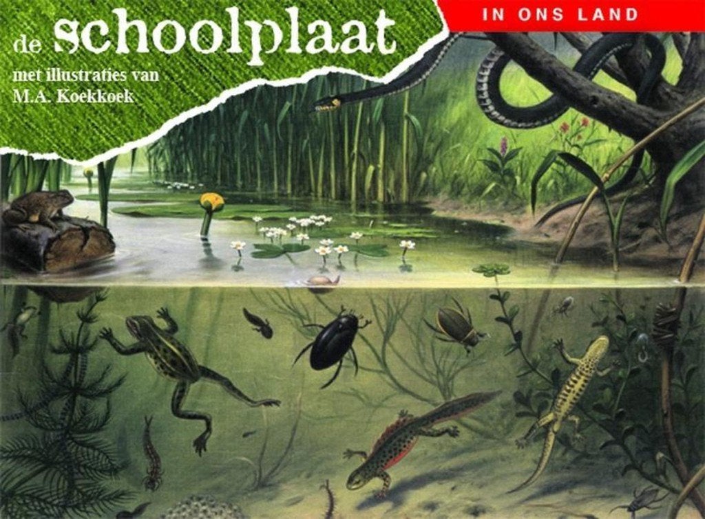 M.A. Koekkoek  -  De Schoolplaat In Ons Land  (Hardcover/Geb, Boeken, Ophalen of Verzenden, Zo goed als nieuw, Fictie algemeen