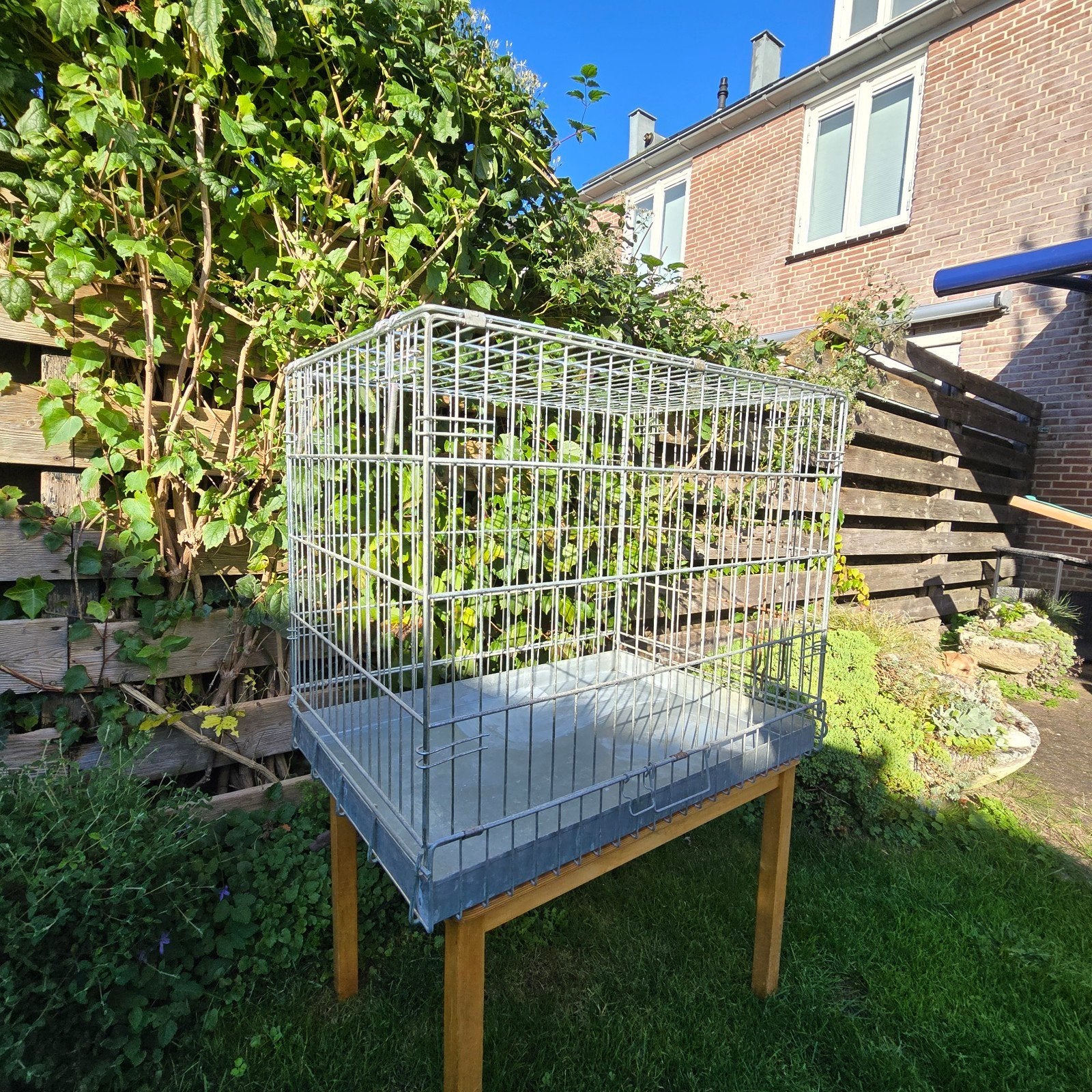 (Honden) Bench 80x55x55 cm, opvouwbaar, Dieren en Toebehoren, Ophalen, Gebruikt
