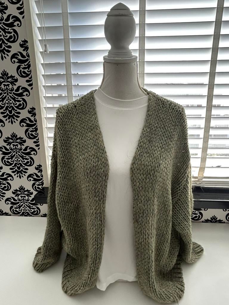 Mooi grof gebreid vest, Ophalen of Verzenden, Zo goed als nieuw, Maat 42/44 (L), Groen