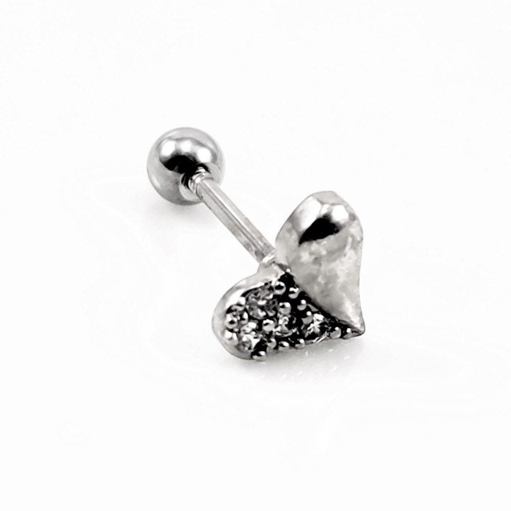 RVS Hart Oorbel - Helix Oorpiercing - Tragus - Kraakbeen, Staal, Birgitta-Gracht 33, 6465 EL Kerkrade, Nederland, Verzenden, Oor- of Traguspiercing