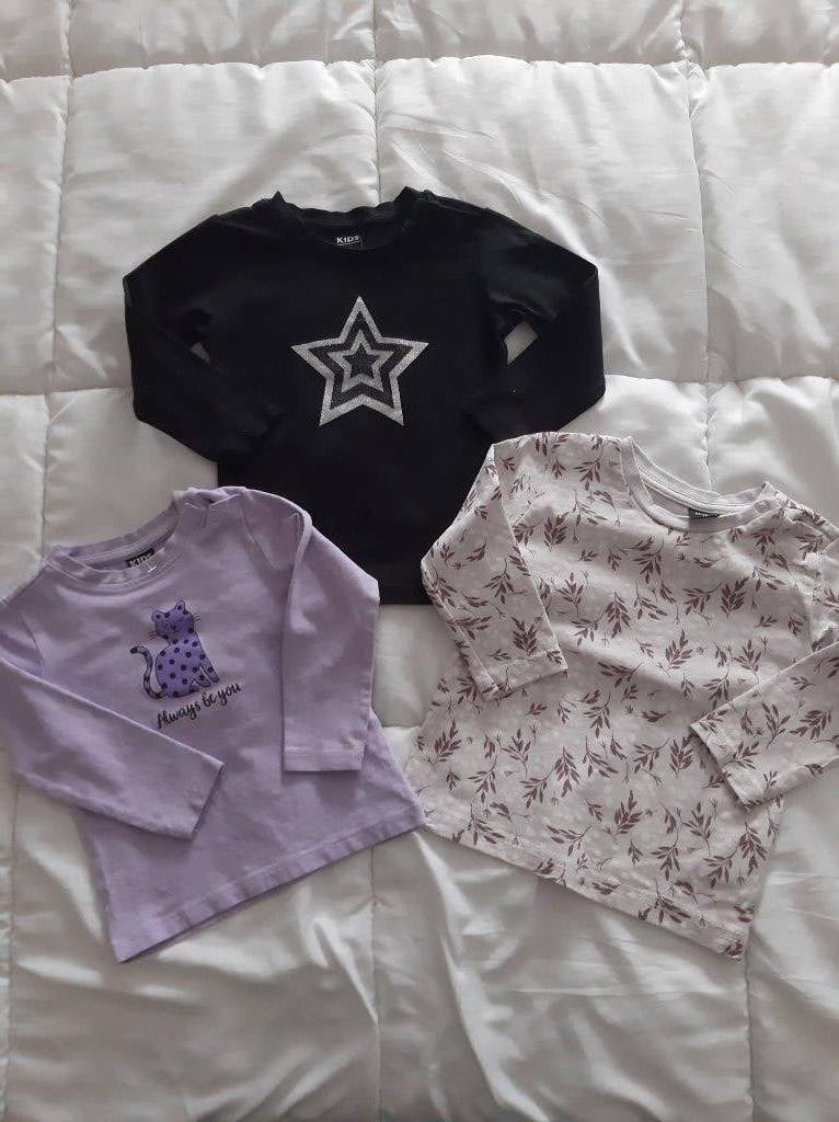 ZGAN longsleeves Mini Baby/Terstal Mt 74 -- 0,75 p.st, Kinderen en Baby's, Meisje, Terstal, Ophalen of Verzenden, Zo goed als nieuw