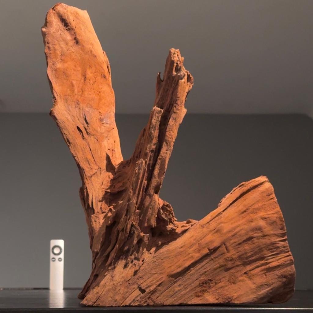 Groot stuk Driftwood / Kienhout / Spiderwood, Hout Decoratie, Ophalen of Verzenden, Zo goed als nieuw, Plant(en), Steen of Hout