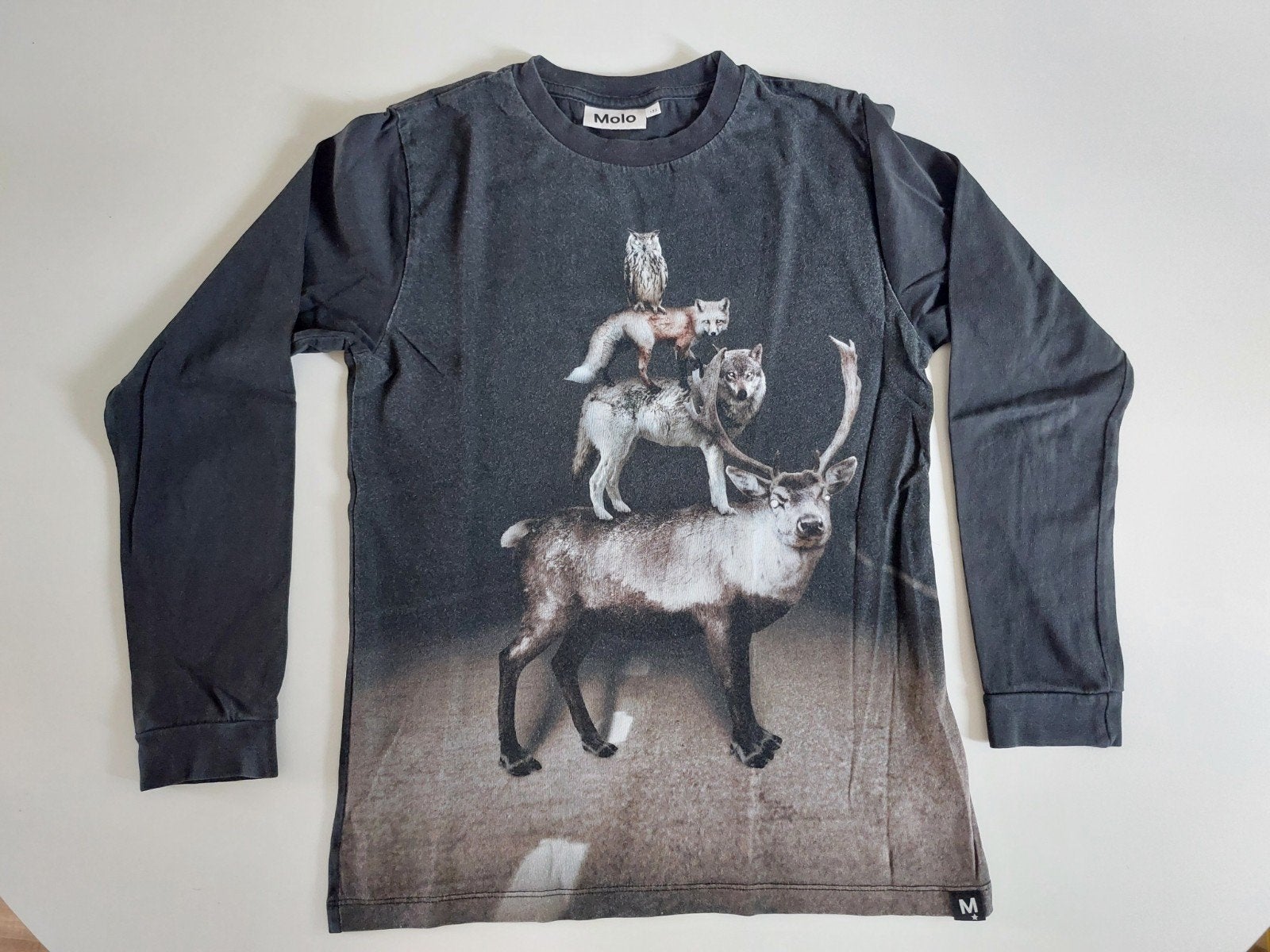 Longsleeve Molo maat 152, Ophalen, Gebruikt, Molo, Shirt of Longsleeve