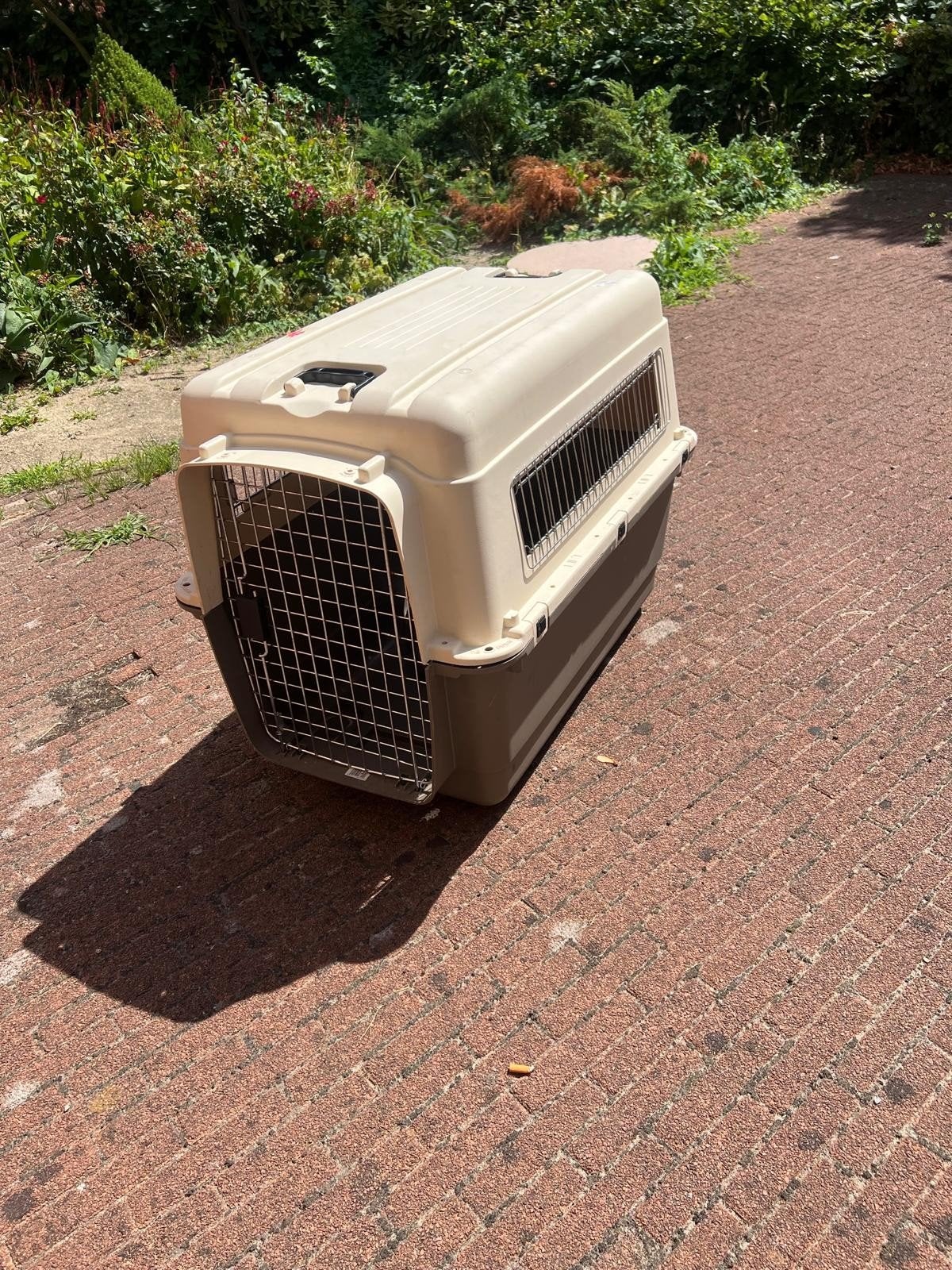 travelbox honden IATA, Dieren en Toebehoren, Ophalen, Gebruikt