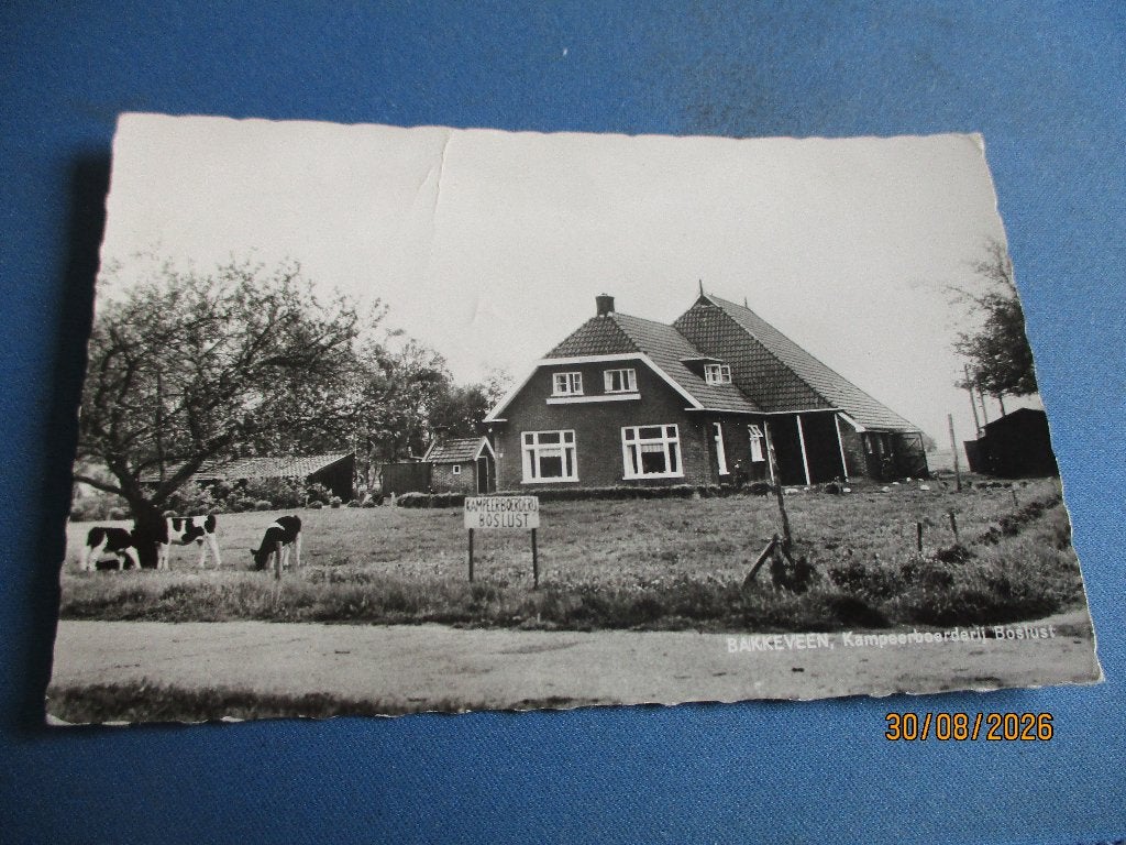 Bakkeveen (1967), Ophalen of Verzenden, Voor 1920, Gelopen