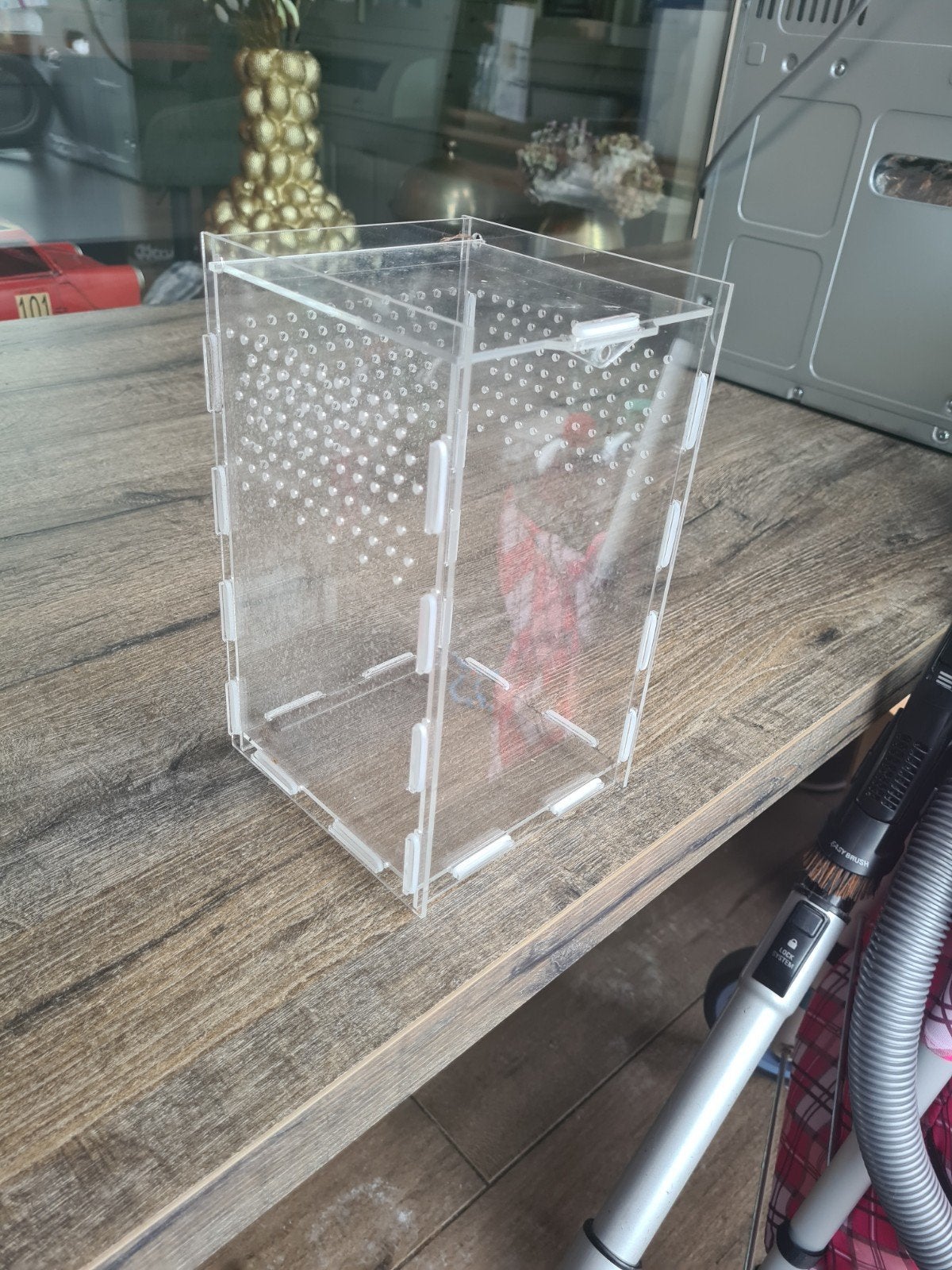 Acryl terrarium 15  15  25, Ophalen of Verzenden, Nieuw, Terrarium of Paludarium