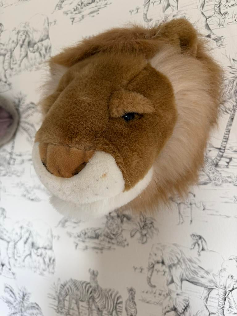 Leeuwenkop voor aan de muur, Ophalen, Zo goed als nieuw, Wanddecoratie