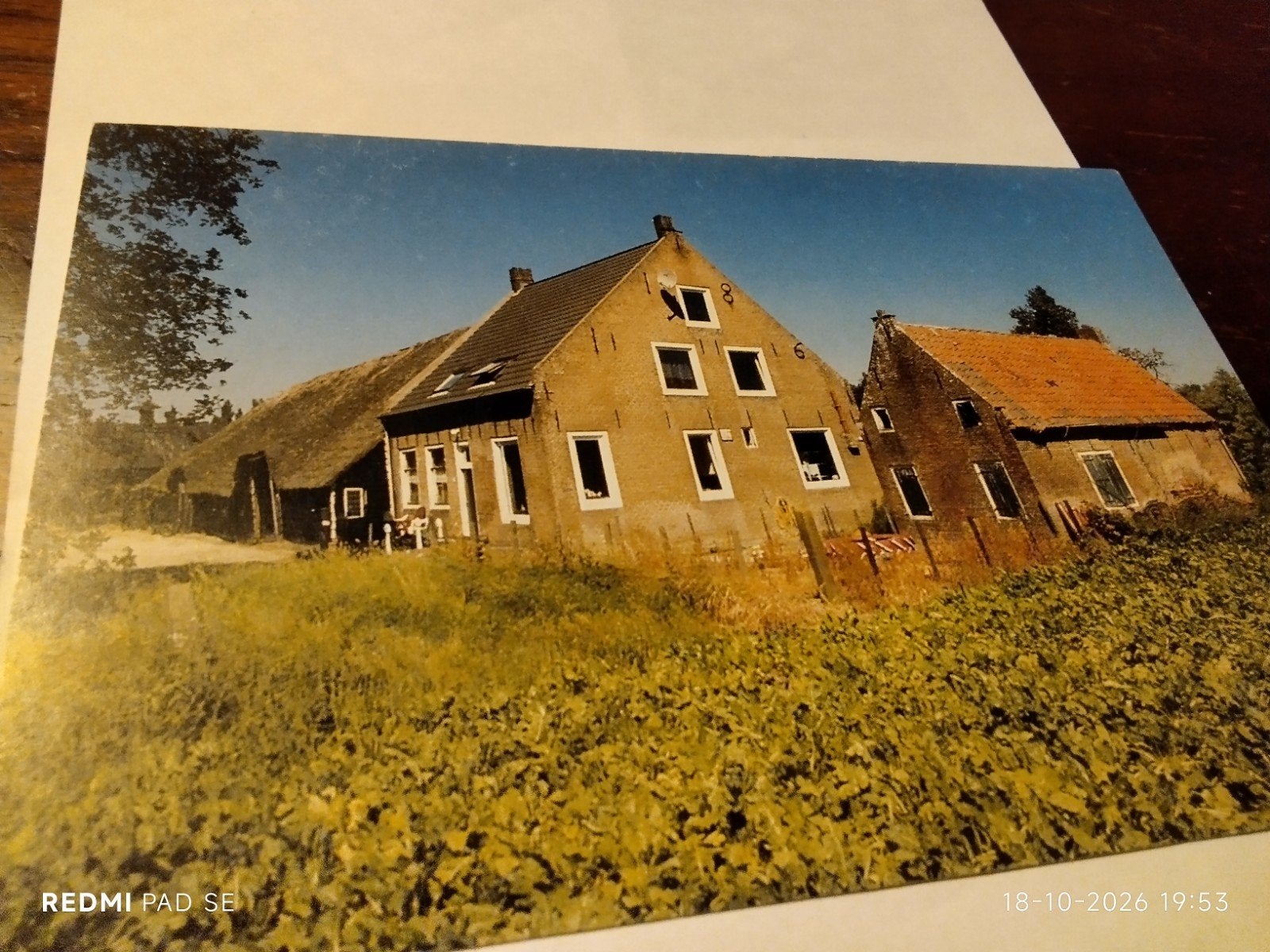 Ansichtkaart 'De Roode Hoeve' - Oude boerderijen Zeeland, Verzamelen, Ophalen of Verzenden, 1980 tot heden, Ongelopen, Zeeland