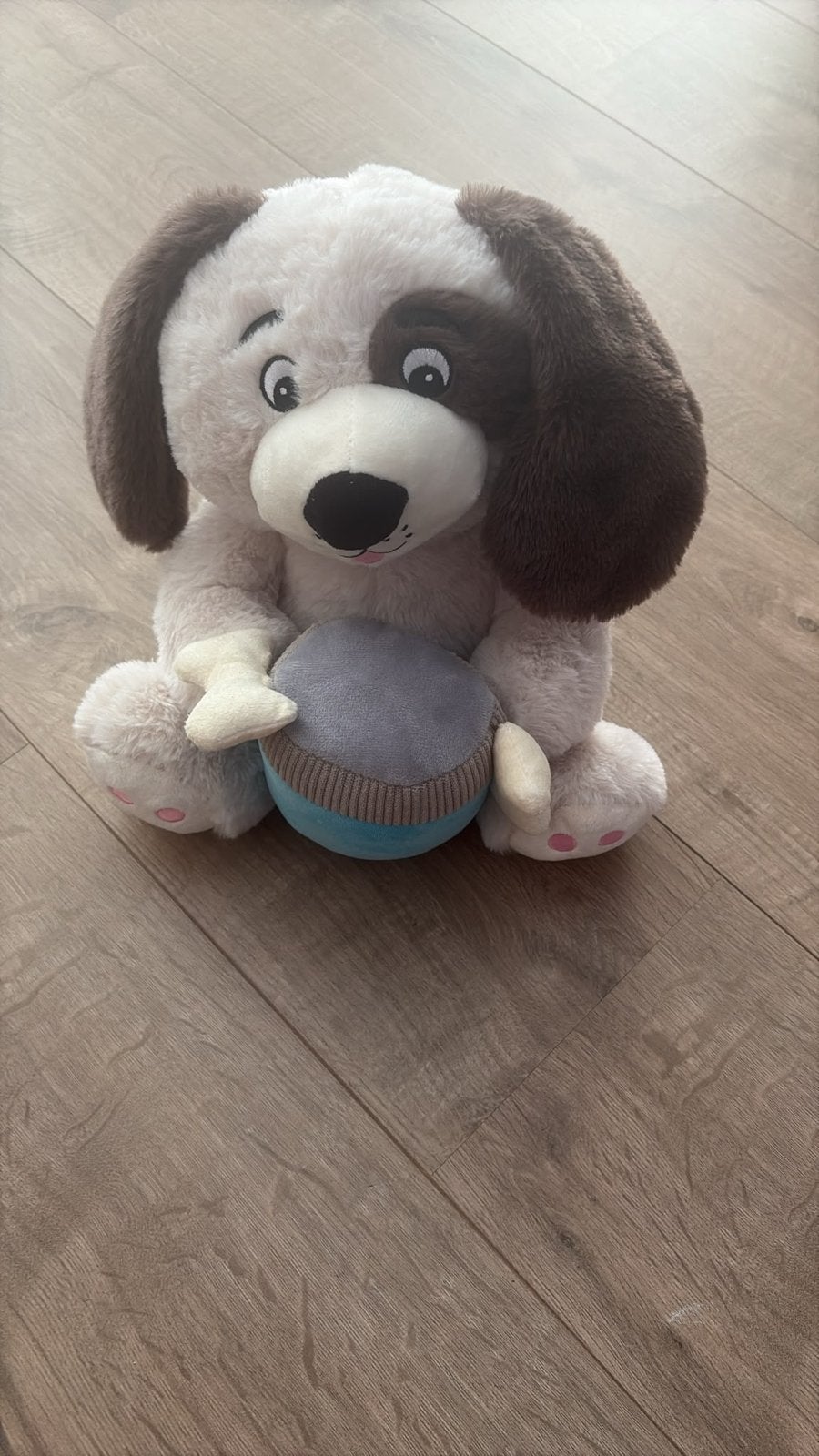 Schattige knuffelhond met botje - Zo goed als nieuw, Zo goed als nieuw, Middelgroot (20 tot 80 cm), Meerkleurig, Hond