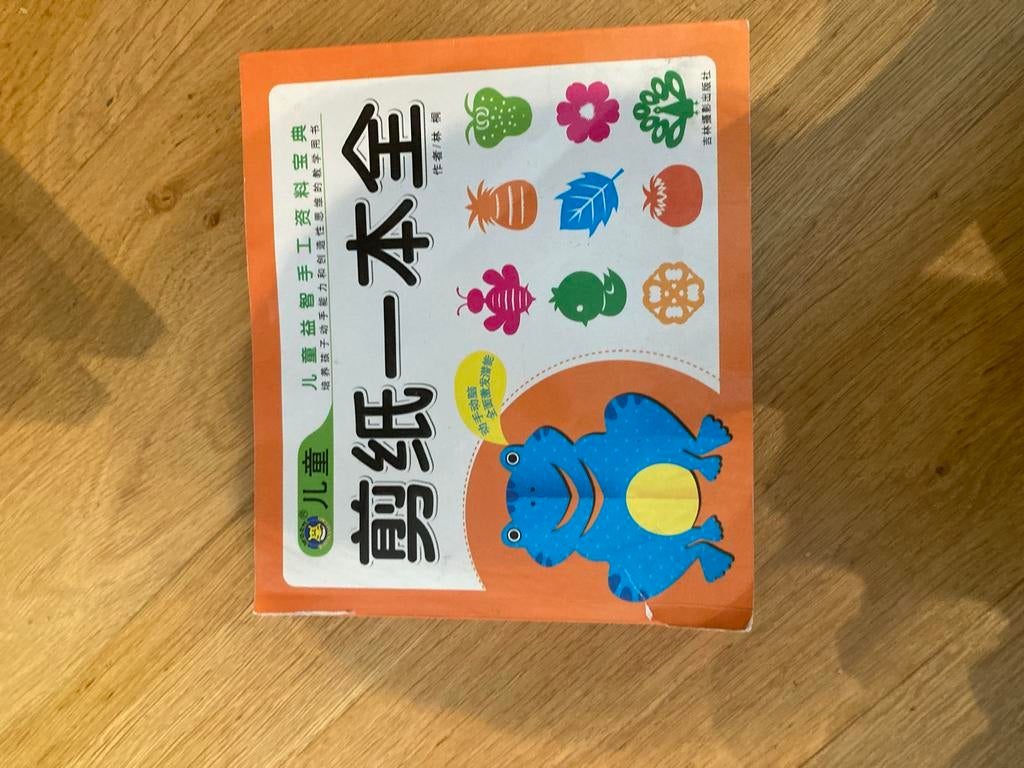 Chinees knutselboek voor kinderen - Origami en meer, Boeken, Ophalen of Verzenden, Zo goed als nieuw, Non-fictie