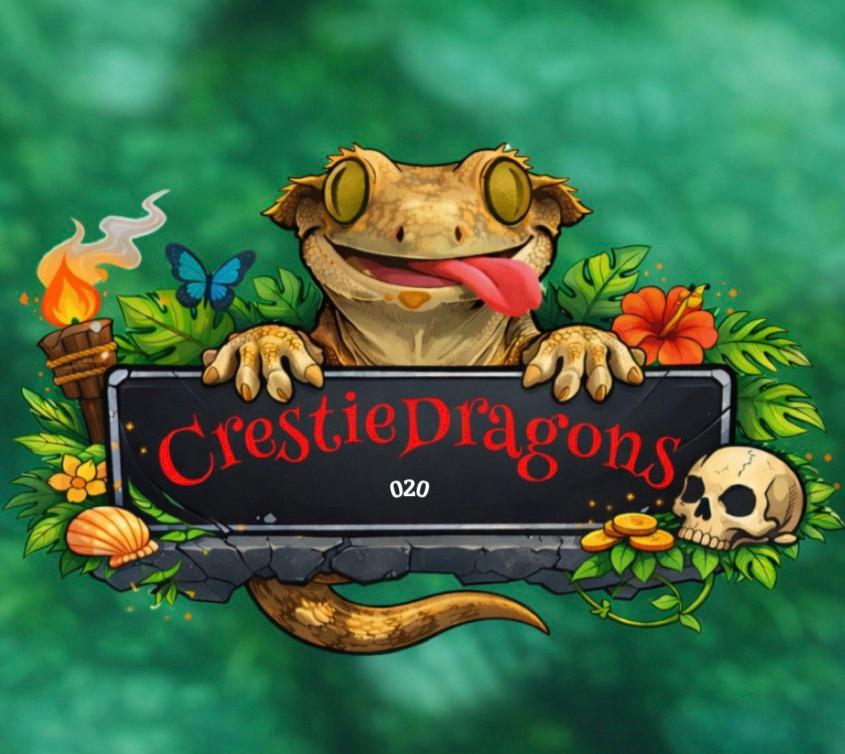 Reptielenoppas aan huis 🦎| gekko’s, slangen,& meer🐍, Ophalen, Nieuw