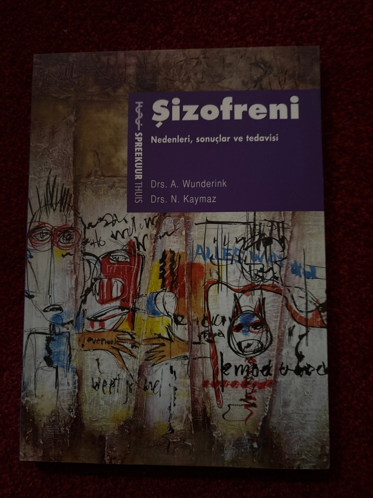 Şizofreni: Oorzaken, gevolgen en behandeling, Boeken, Ophalen of Verzenden, Gelezen, Klinische psychologie