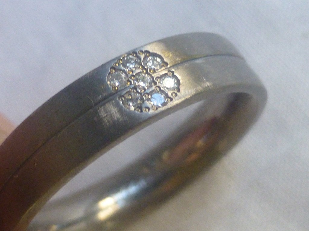 Titanium Ring rozet van echte Diamantjes mt 16 BOCCIA, Overige materialen, Verzenden, Met edelsteen, Dame