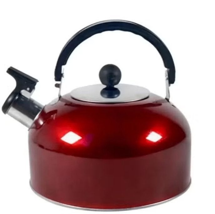 RVS Camping Waterkoker / Fluitketel (3 Liter), 1 tot 2 liter, Ophalen of Verzenden, Nieuw, Rvs