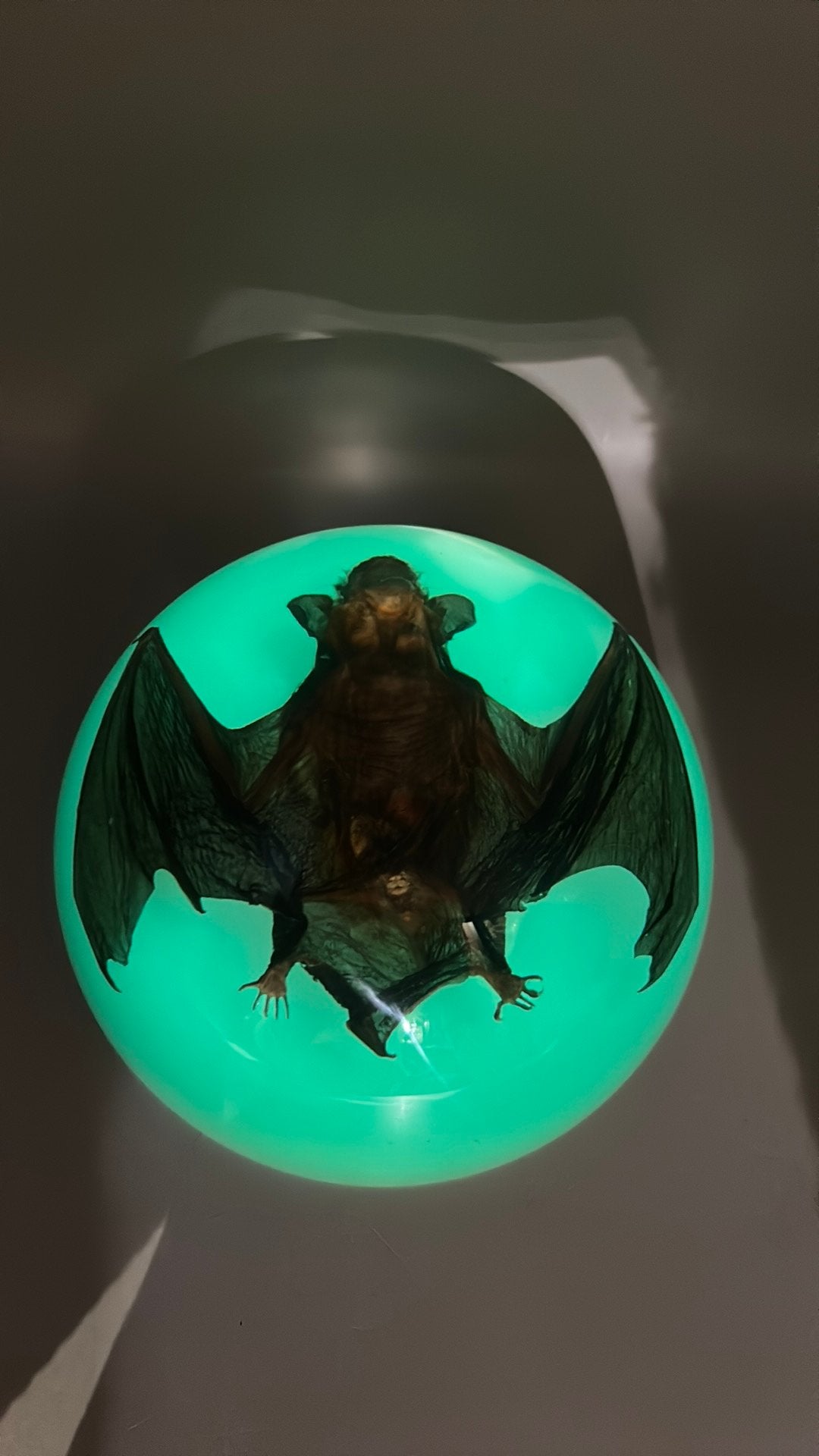 Vleermuis in epoxy halfrond - Glow in the Dark, Ophalen of Verzenden, Nieuw, Beeldje of Figuurtje