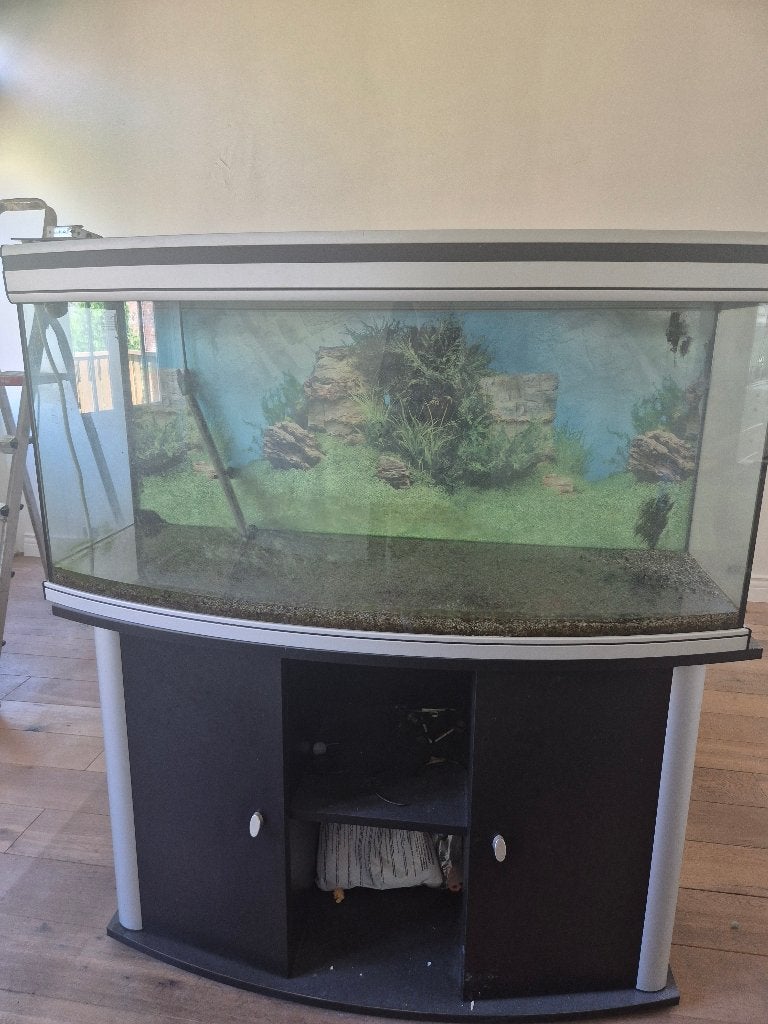 Aquarium, Dieren en Toebehoren, Vissen | Aquaria en Toebehoren, Ophalen, Gebruikt, Leeg aquarium